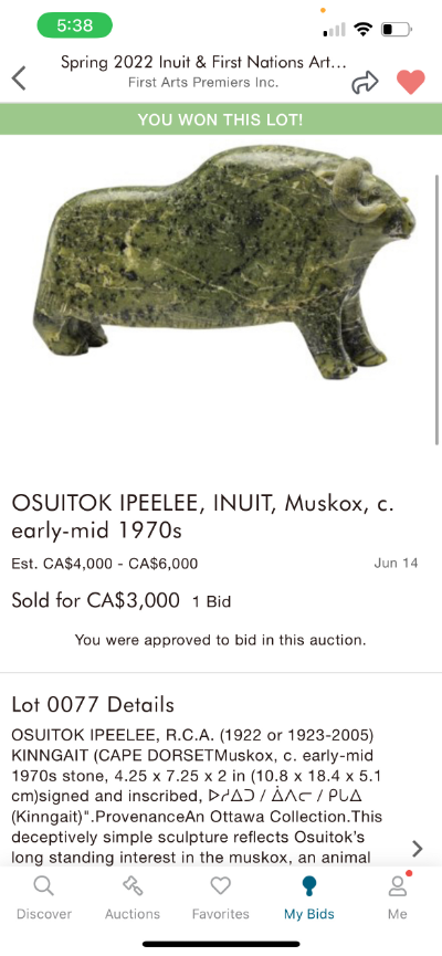 Inuit muskoxen Ippelee, Osuitok medium