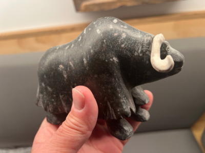 Inuit muskoxen Natakok with elk antlers