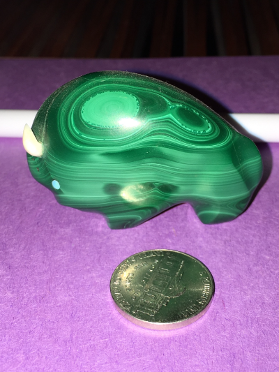 Zuni fetish Quam Lynn green turquoise bison with ivory horns