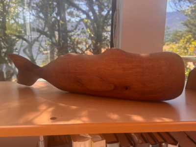 Walnut sitting sperm whale john Lochtefeld