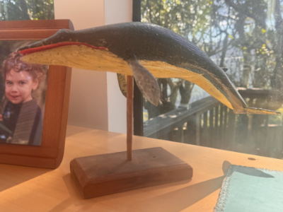 Vintage sei whale