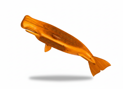 Carter melton nantucket whale