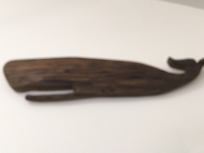 Nantucket Walnut Sperm whale