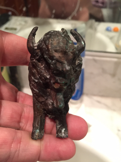 Miniature brown bison, buffalo purchase from vision West circuit 2005