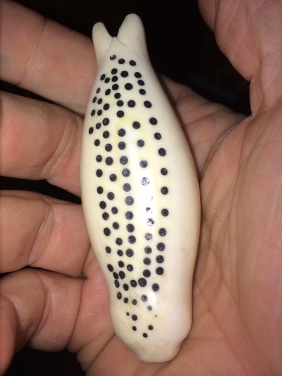 Greenland narwhal carved seal with black inlay